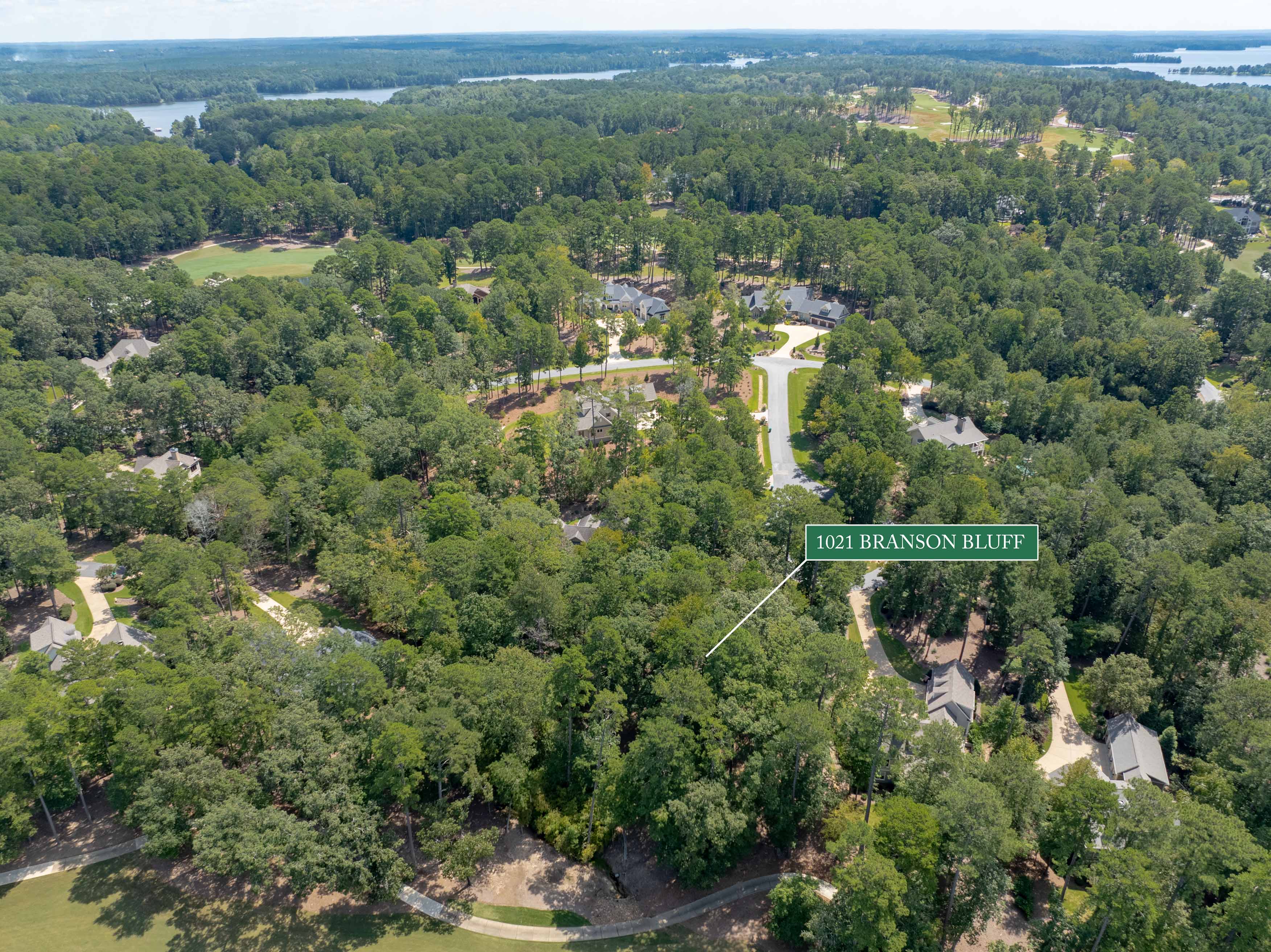1021 Branson Bluff image 17